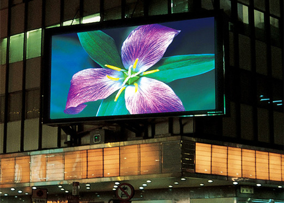 TOPLED P5 Outdoor Full Color LED Screen 140° Horizontal / Vertical Viewing Angle